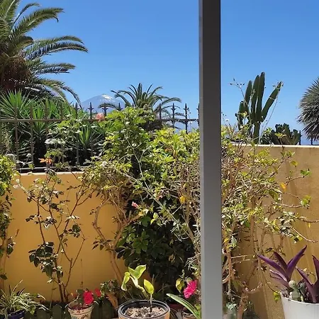 Casa El Sentir Sauzal